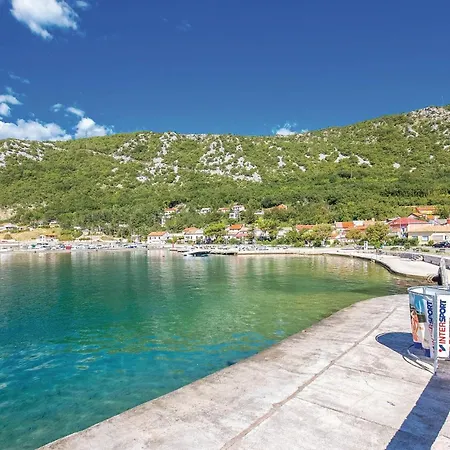 Apartment Pet Friendly In