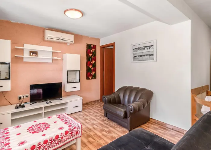 Pet Friendly In Daire *