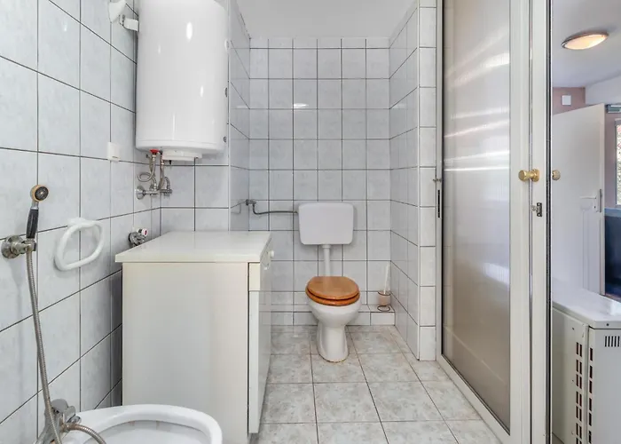 Pet Friendly In Daire