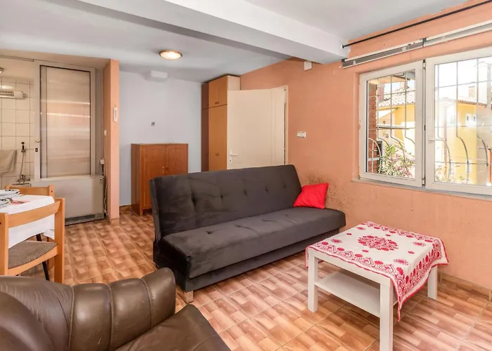 Daire Pet Friendly In